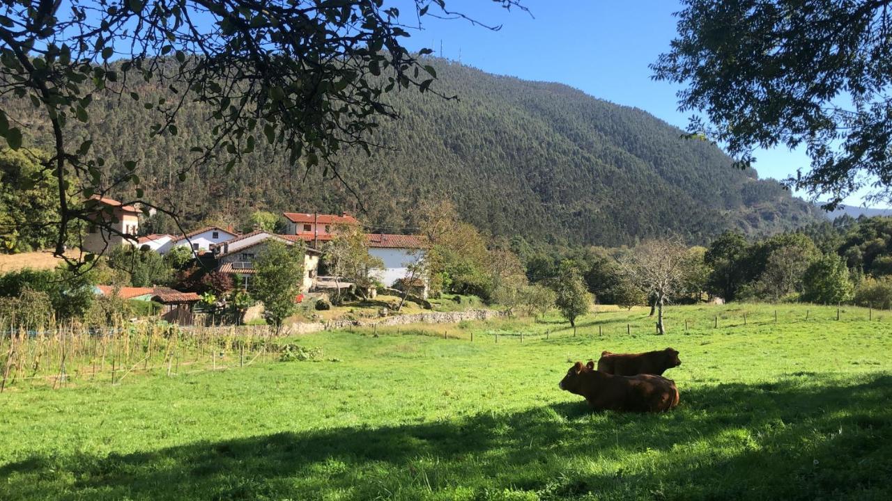 Apartmán La Galayca El Barcenal Exteriér fotografie