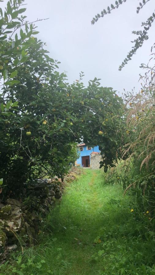 Apartmán La Galayca El Barcenal Exteriér fotografie