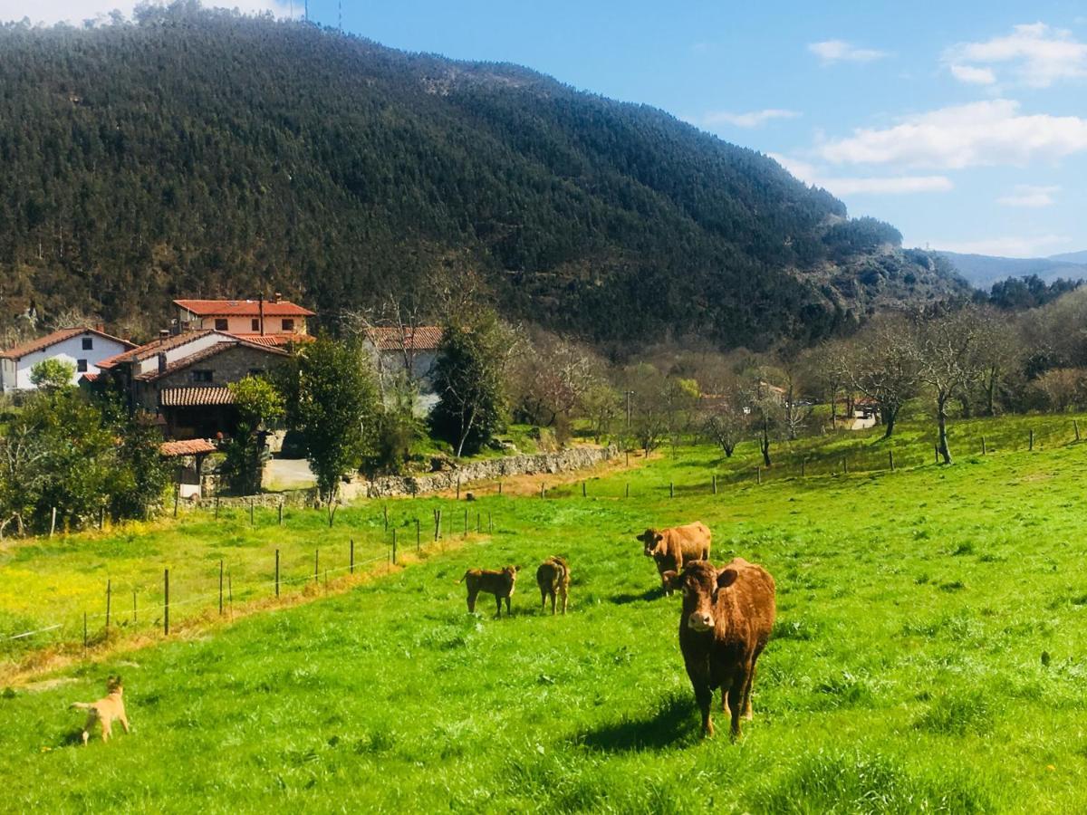 Apartmán La Galayca El Barcenal Exteriér fotografie
